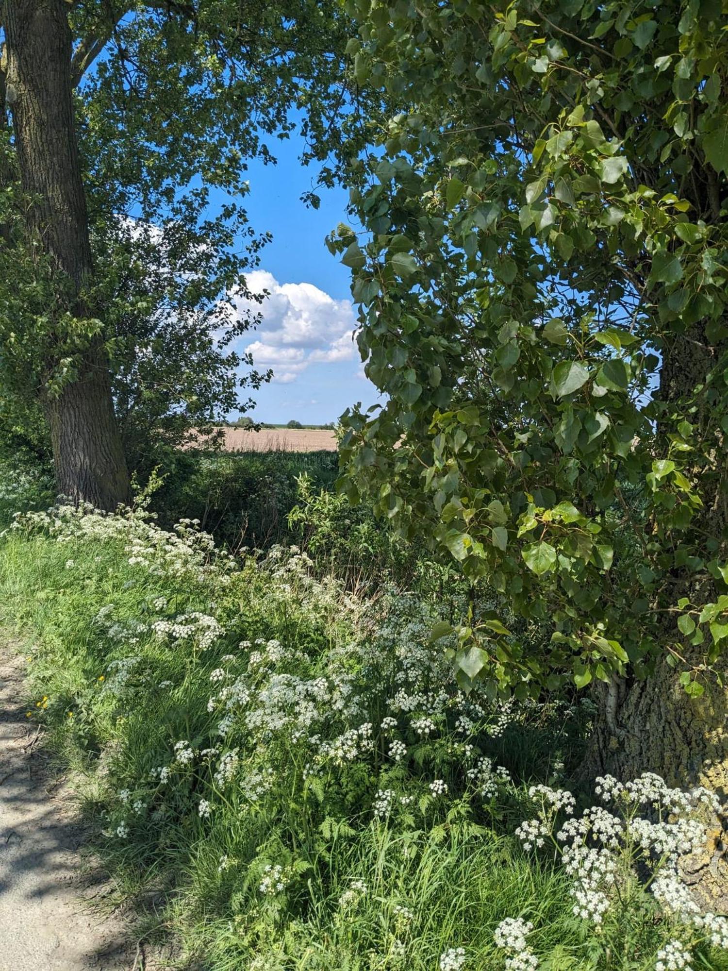 Huus Meta Villa Krummhorn Bagian luar foto